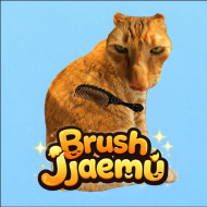 Brush Jjaemu img