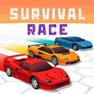 Survival Race img